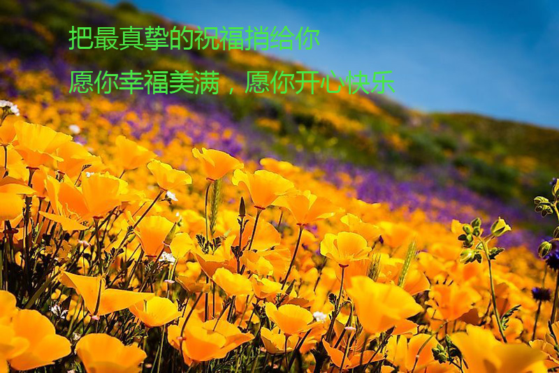 我把最真挚的祝福送给你，愿你生活辛福美满