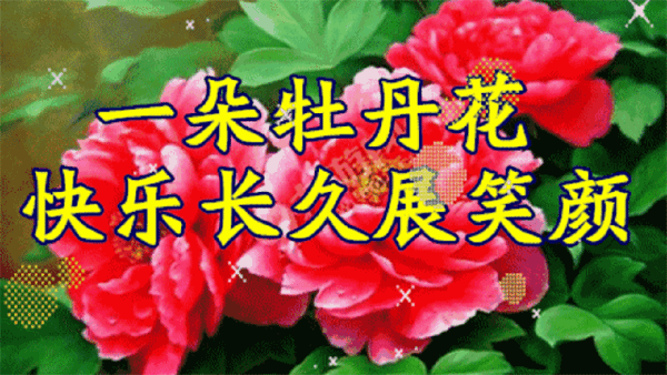 愿你像牧丹花一样快快乐乐，笑口常开