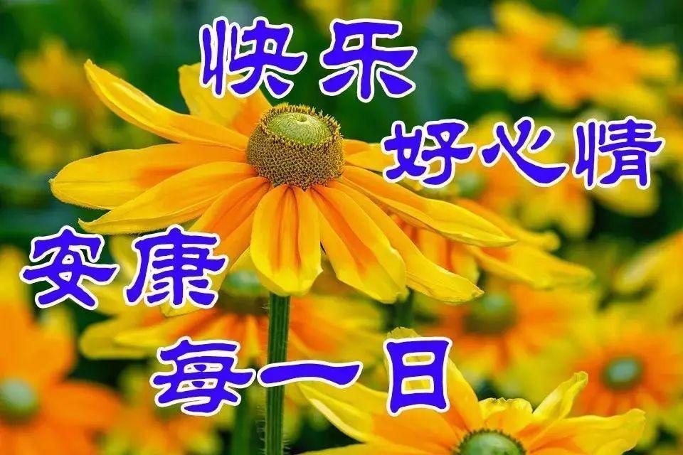 愿你快乐好心情！安康每一日