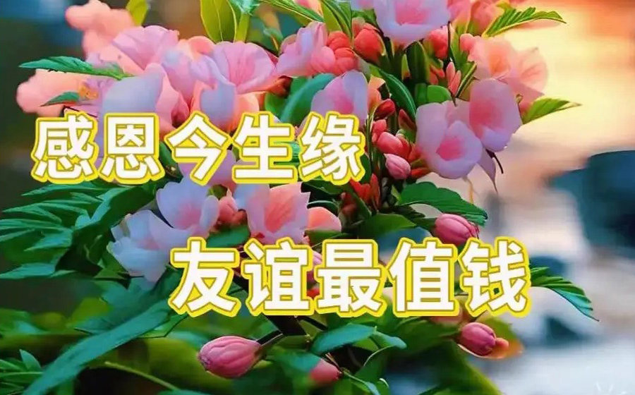 感恩今生缘，友谊最值钱