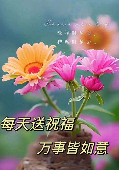 每天送祝福，万事皆如意