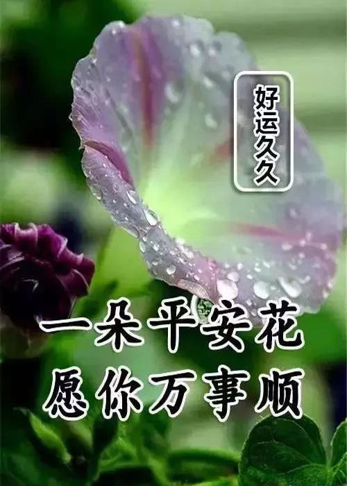 送你一朵平安花，愿你万事都顺心