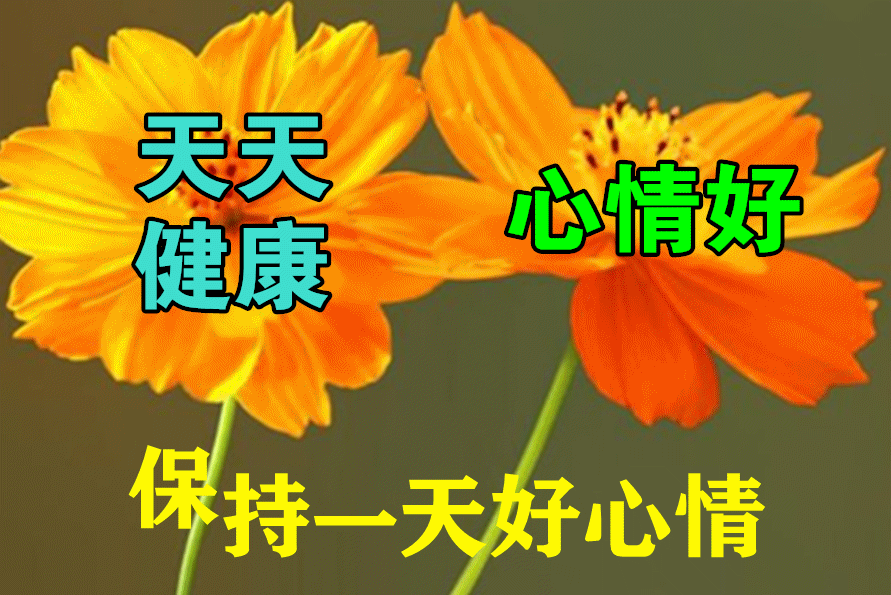 天天健康心情好，保持一天好心情