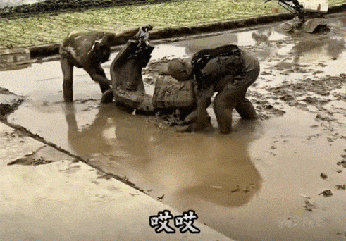 这里不能停车啊！恶搞嘲讽骑车摔到坑里的两夫妻