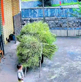 监控拍下贪玩的小孩瞬间被推车举高高，幸好奶奶及时出现
