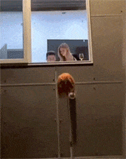 在楼下举起吓人头套到窗边，吓坏办公室里的男女