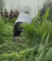 这么大了还玩小时候的戳屁屁玩笑，男人至死是少年，一点没错了