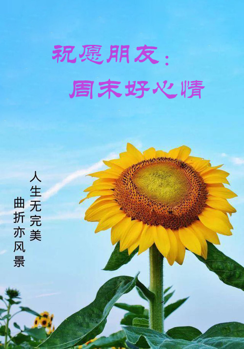 祝愿我的好朋友周末愉快