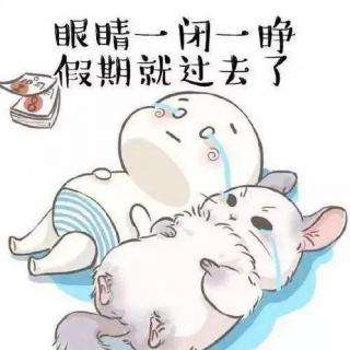 眼睛一闭一睁，这个假期就过去了