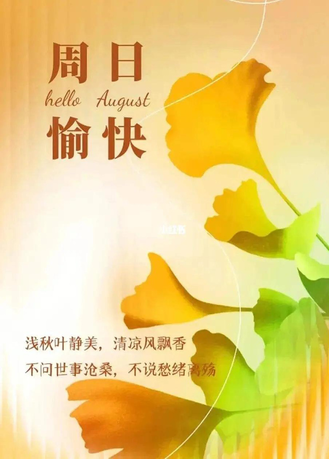 周末物语：不问世事沧桑，不说愁绪离殇