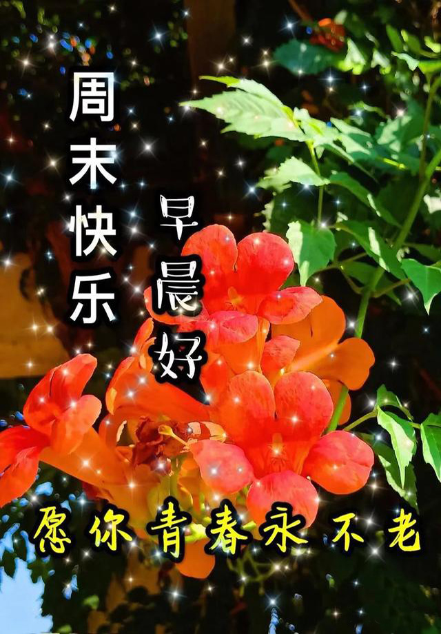 周末早晨好！愿你青春永不老