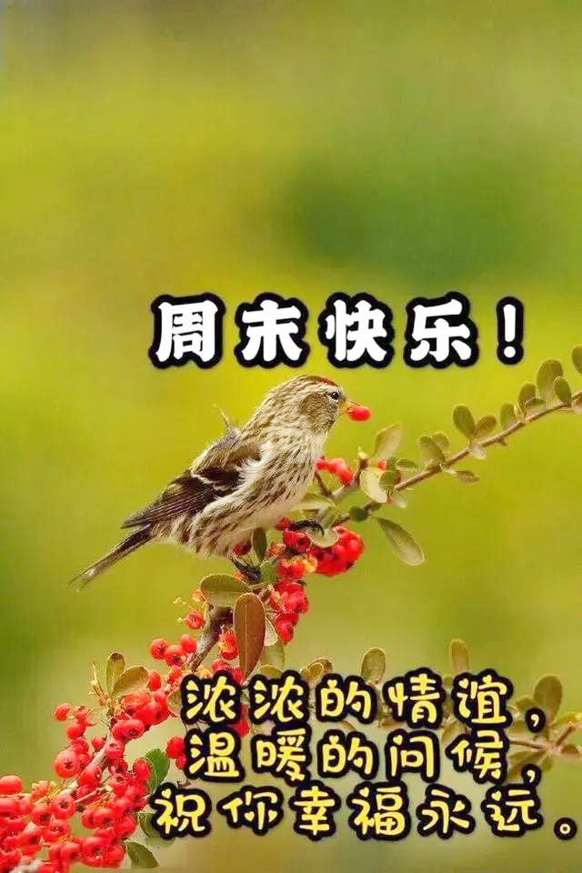 浓浓的情谊，温暖的问候，祝朋友周末快乐