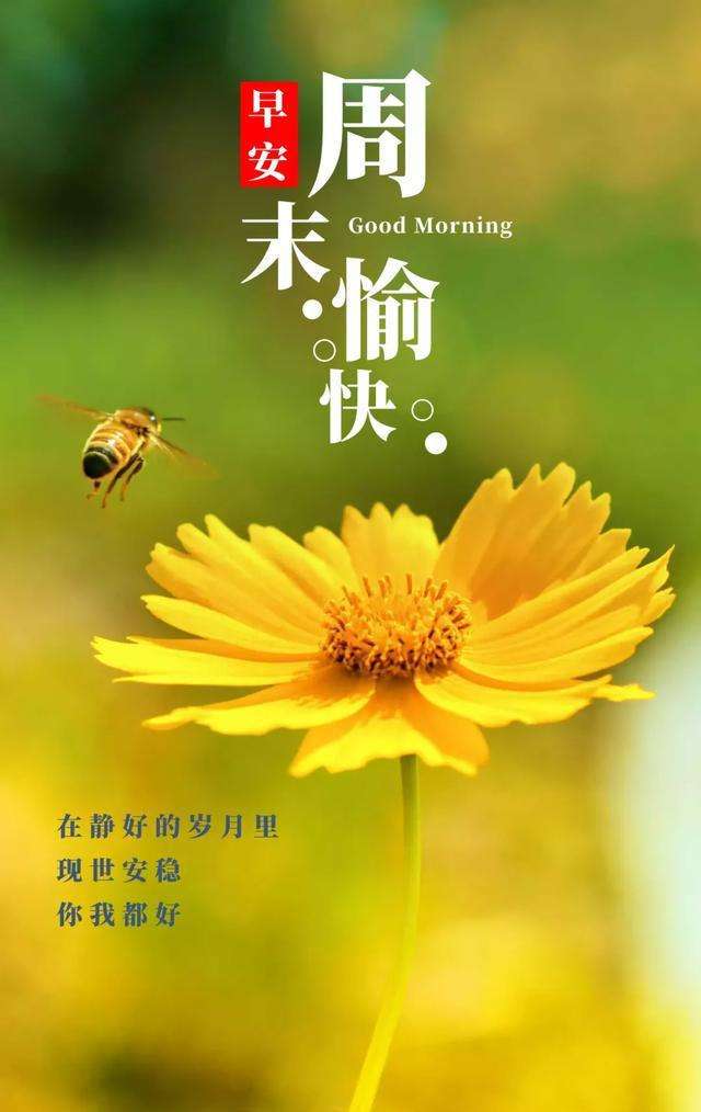 非常好看的周末图片：在静好的岁月里，现世安稳