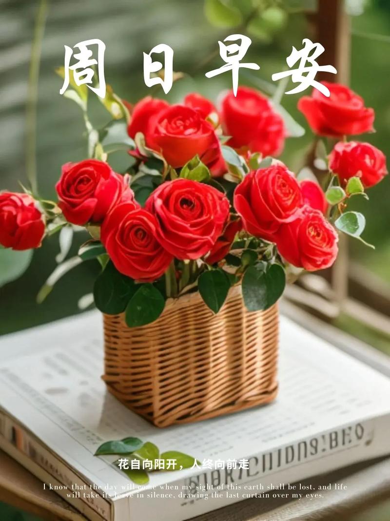 周日早安！愿你心情像花儿一样美