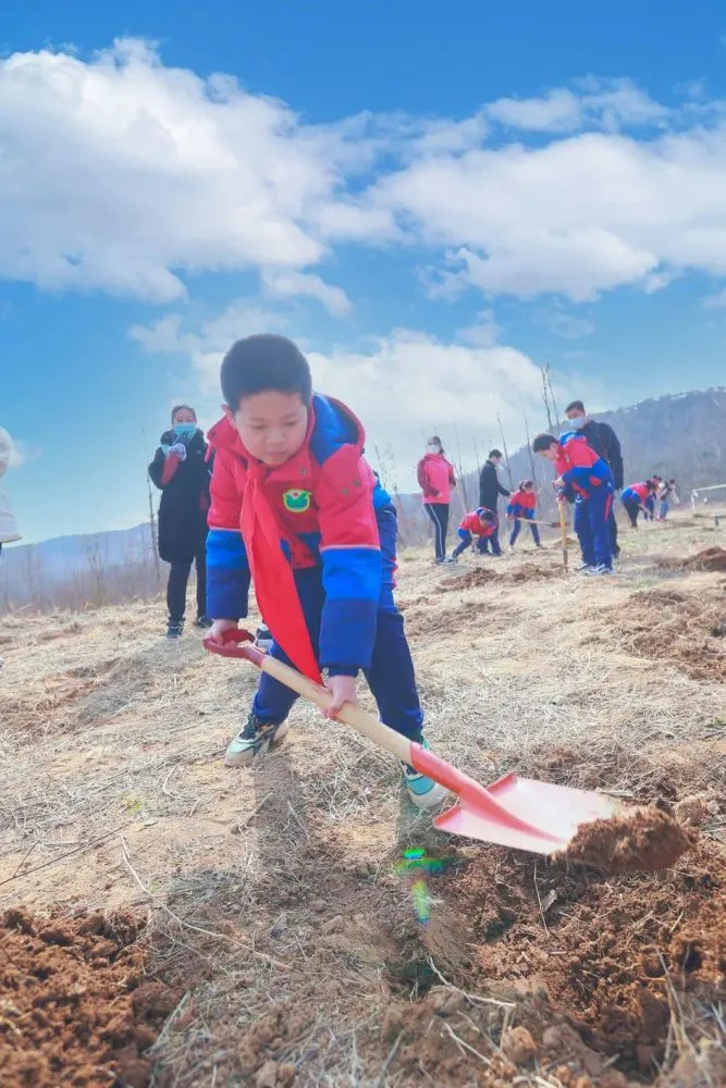 小学生户外种树的场景